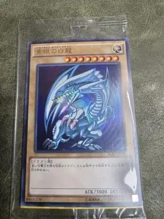 2026年最新】青眼の白龍 2018-JPP01の人気アイテム - メルカリ