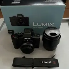 LUMIX DC-G100DW 【hamaさん用】 - メルカリ