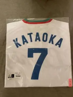 2026年最新】西武ライオンズ 片岡治大 ユニフォームの人気アイテム