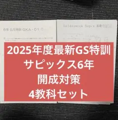 2026年最新】サピックス6年の人気アイテム - メルカリ