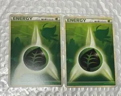 2026年最新】基本草エネルギー レジェンドの人気アイテム - メルカリ