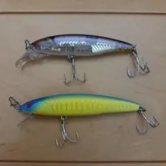 2026年最新】レイダウンミノーの人気アイテム - メルカリ