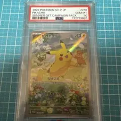 お茶会ごっこピカチュウ：はなびらのまいキャンペーン PROMO SM-P