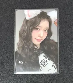 2026年最新】ケプラーの人気アイテム - メルカリ