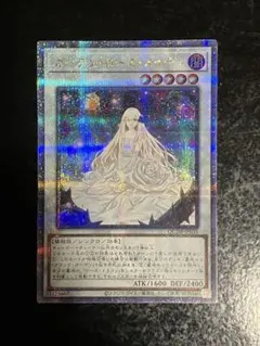 2026年最新】ガーデン・ローズ・メイデン 25thの人気アイテム - メルカリ