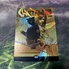 2026年最新】不毛の大地 encyclopedia の人気アイテム - メルカリ