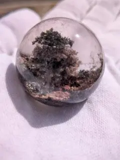 2026年最新】ガーデンスフィアの人気アイテム - メルカリ