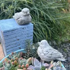 2026年最新】ガーデン オブジェ セメントの人気アイテム - メルカリ