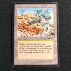 MTG Diamond Valley アラビアンナイト ARN 1枚 マジック - メルカリ