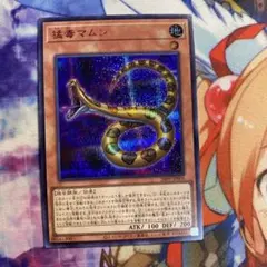 2026年最新】遊戯王 PREMIUM PACK 2026 BOXの人気アイテム - メルカリ