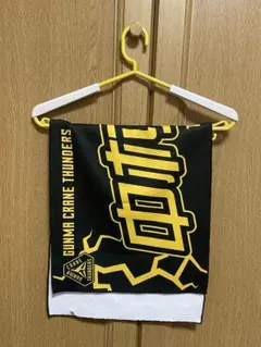 2026年最新】クレインサンダーズ タオルの人気アイテム - メルカリ