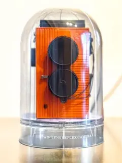 2026年最新】blackbird, fly ディケイドの人気アイテム - メルカリ