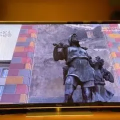 2026年最新】viera 55インチの人気アイテム - メルカリ