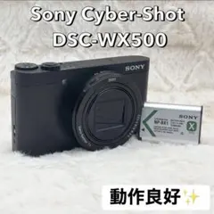 2026年最新】dsc-wx500 ジャンクの人気アイテム - メルカリ