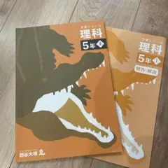 2026年最新】四谷大塚予習シリーズ 5年の人気アイテム - メルカリ