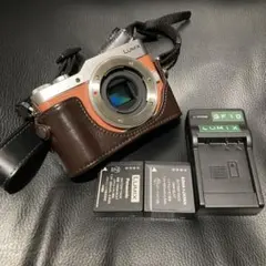 2026年最新】lumix gf10 ケースの人気アイテム - メルカリ