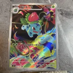 2026年最新】フシギダネar フシギソウarの人気アイテム - メルカリ