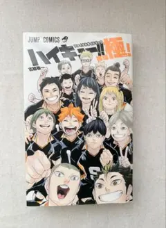 2026年最新】ハイキュー排球極の人気アイテム - メルカリ