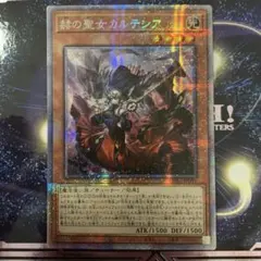 2026年最新】カルテシア プリシクの人気アイテム - メルカリ