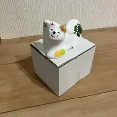 m71710948958_1.jpg?1769918346