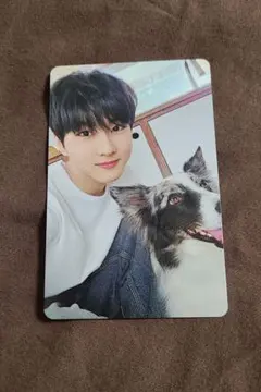 2026年最新】enhypen アンケートトレカ ジョンウォンの人気アイテム