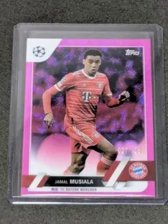 2026年最新】ムシアラの人気アイテム - メルカリ