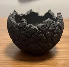 m72843420959_1.jpg?1772503223