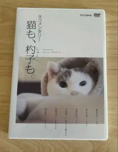 2026年最新】ネコメンタリー 猫も、杓子も。 [DVD]の人気アイテム