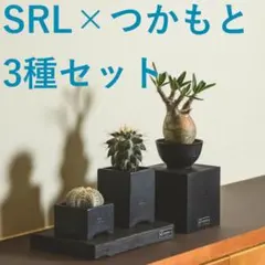 2026年最新】srl neighborhood 鉢の人気アイテム - メルカリ