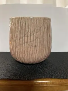 2026年最新】domani ドマーニ 鉢の人気アイテム - メルカリ