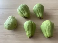 2026年最新】ハヤトウリ 種の人気アイテム - メルカリ