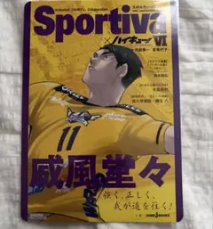 2026年最新】SPORTIVA ハイキュー ビジュアルボードの人気アイテム