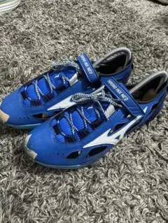 2026年最新】インクスネオジャパンの人気アイテム - メルカリ