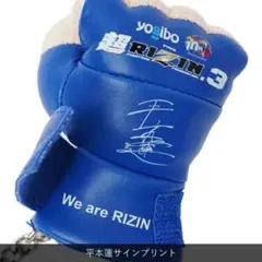 2026年最新】rizin グローブ サインの人気アイテム - メルカリ