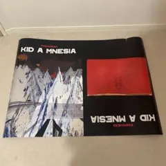 2026年最新】radiohead kid a lpの人気アイテム - メルカリ