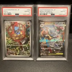 2026年最新】ルカリオARの人気アイテム - メルカリ