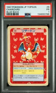 2026年最新】トップサン リザードンの人気アイテム - メルカリ