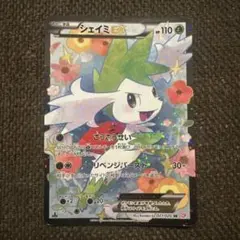 2026年最新】シェイミ SRの人気アイテム - メルカリ