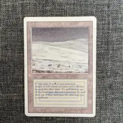 2026年最新】マジック ザ ギャザリング デュアルランドの人気アイテム