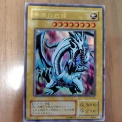 2026年最新】ブルーアイズホワイトドラゴン 25th 東京ドームの人気