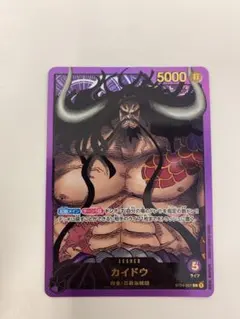 2026年最新】カイドウ パラレル リーダーの人気アイテム - メルカリ