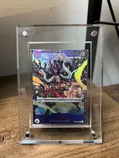 2026年最新】カイドウ フラッグシップ 未開封の人気アイテム - メルカリ