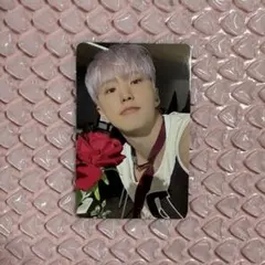 2026年最新】一直娱 ホシの人気アイテム - メルカリ