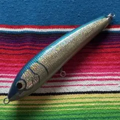 2026年最新】カーペンターブルーフィッシュ100の人気アイテム - メルカリ