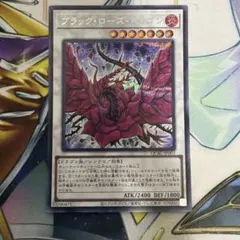 2026年最新】ブラックローズ シークレットの人気アイテム - メルカリ