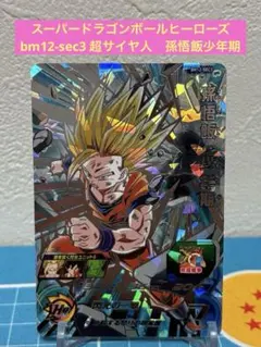 2026年最新】bm12-sec3の人気アイテム - メルカリ