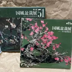 2026年最新】国風盆栽展の人気アイテム - メルカリ