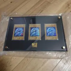 2026年最新】海馬セット ディスプレイの人気アイテム - メルカリ