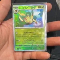 2026年最新】リーフィア マスターボールミラーの人気アイテム - メルカリ