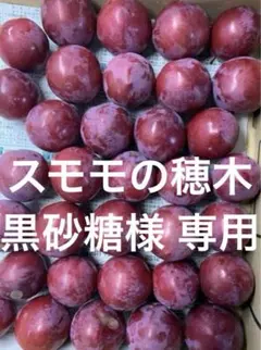 2026年最新】スモモ 穂木の人気アイテム - メルカリ